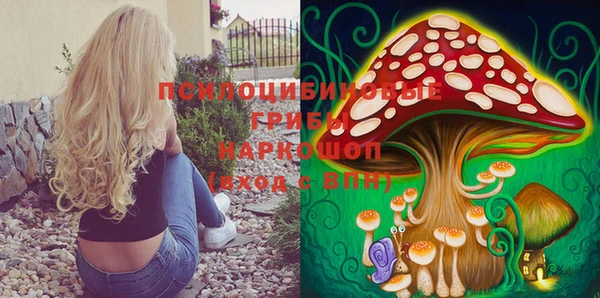 альфа пвп Няндома