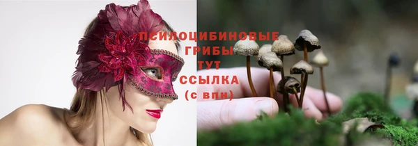 соль ск Нягань