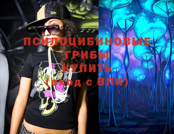дмт Нязепетровск
