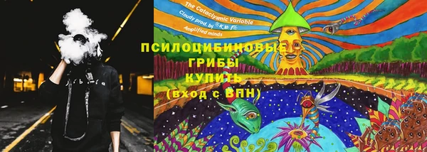альфа пвп Няндома