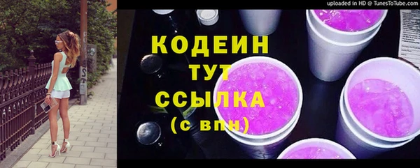 прущие крисы Вяземский