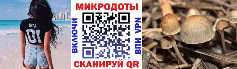 купить  цена  kraken зеркало  Псилоцибиновые грибы Psilocybe  Туринск 