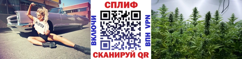 Конопля индика  сколько стоит  гидра онион  Туринск 